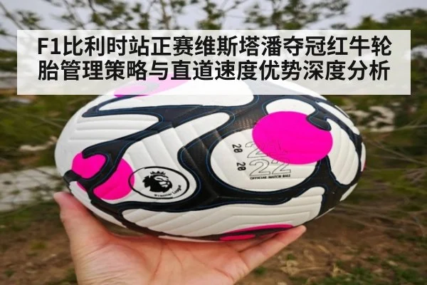 F1比利时站正赛维斯塔潘夺冠红牛轮胎管理策略与直道速度优势深度分析