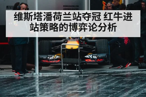 Red Bull pit stop strategy